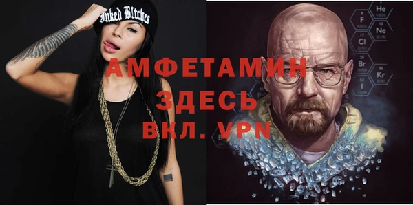 индика Горнозаводск