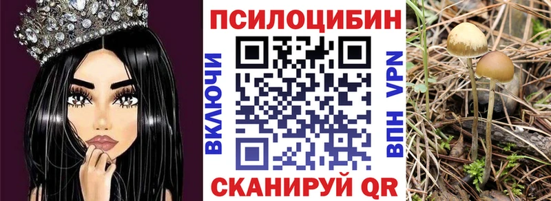 Галлюциногенные грибы MAGIC MUSHROOMS  Назрань 