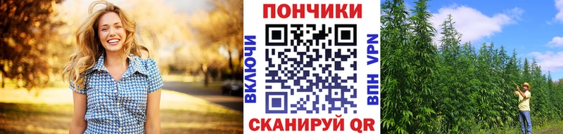 hydra как зайти  продажа наркотиков  Назрань  Бошки Шишки Amnesia 